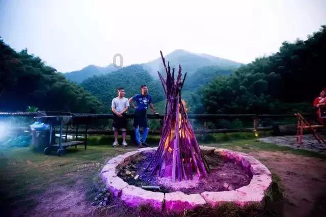 发现最酷冷知识!冷知识分享平台-去哪找素材?
