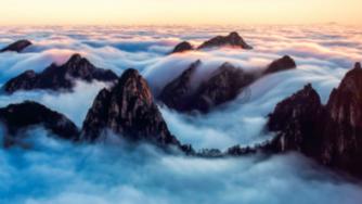 发现冷知识 | 一个汇聚奇闻异事的少年头白是什么原因造成的呢?平台